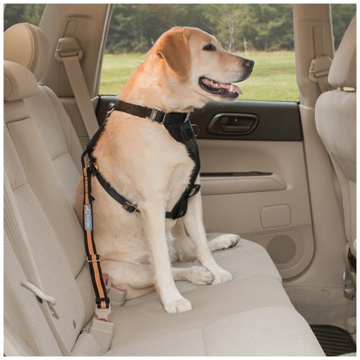 Kurgo® Direkt To Seatbelt Tether autós biztonsági öv