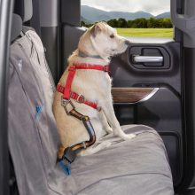 Kurgo® Direkt To Seatbelt Tether autós biztonsági öv
