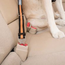 Kurgo® Direkt To Seatbelt Tether autós biztonsági öv