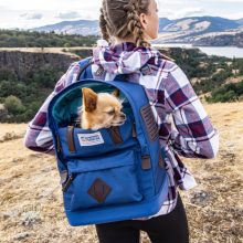 Kurgo® Nomad Carrier kutyahordozó hátizsák | kék
