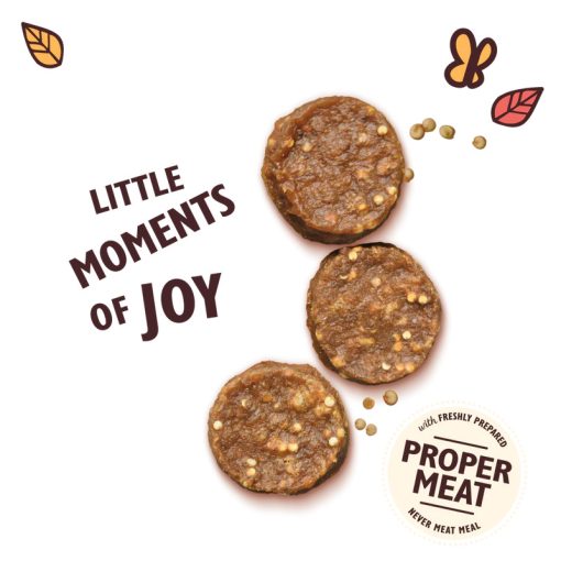 Lily's Kitchen Dog Chomp-Away Chicken Bites jutalomfalat kutyák részére 70 g
