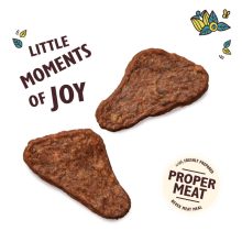 Lily's Kitchen Dog The Mighty Duck Mini Jerky szárított kacsahús kutyák részére 70 g
