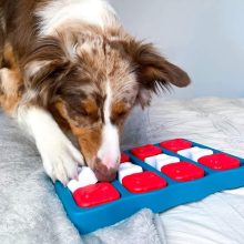 Nina Ottosson® Dog Brick logikai játék | 2. szint