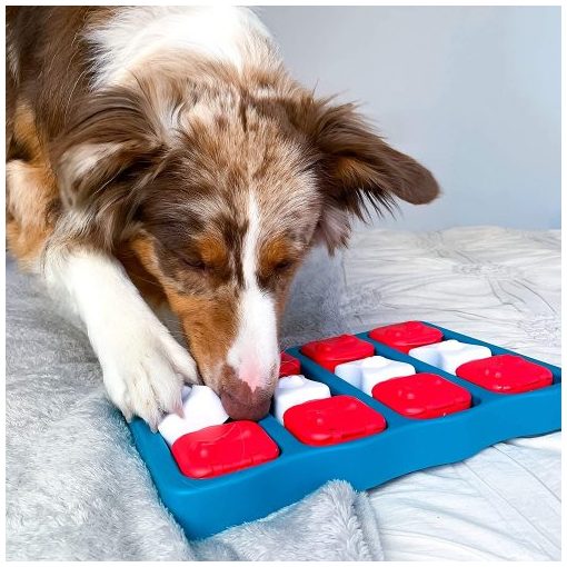 Nina Ottosson® Dog Brick logikai játék | 2. szint