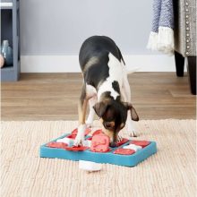 Nina Ottosson® Dog Brick logikai játék | 2. szint