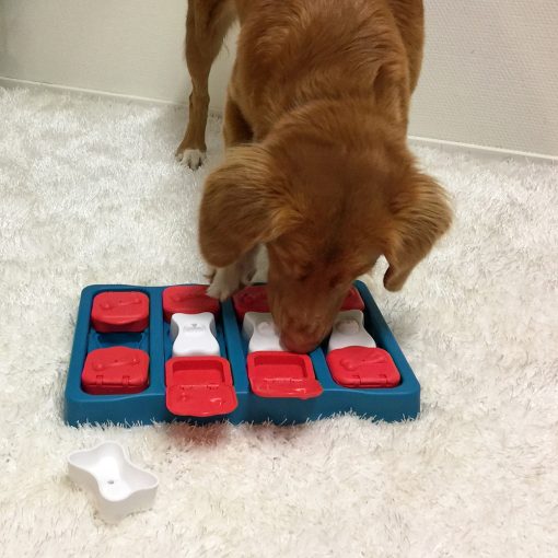 Nina Ottosson® Dog Brick logikai játék | 2. szint