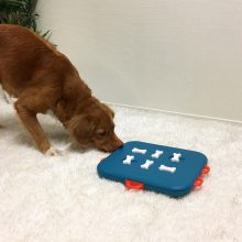 Nina Ottosson® Dog Casino logikai játék | 3. szint