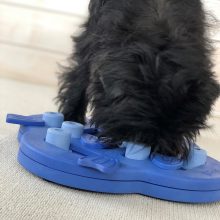 Nina Ottosson® Dog Hide N' Slide logikai játék | 2. szint