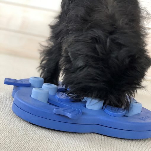 Nina Ottosson® Dog Hide N' Slide logikai játék | 2. szint