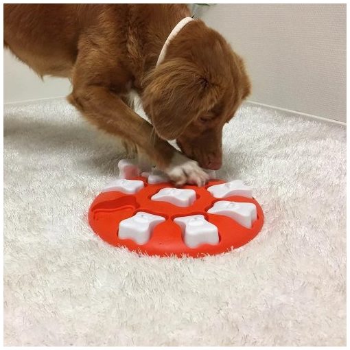 Nina Ottosson® Dog Smart logikai játék | 1. szint