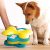 Nina Ottosson® Dog Tornado logikai játék | 2. szint