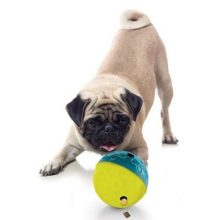 Nina Ottosson® Treat Tumble logikai játék | 1. szint S méret