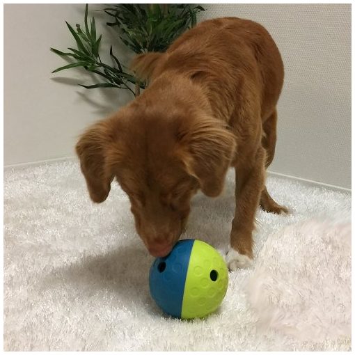 Nina Ottosson® Treat Tumble logikai játék | 1. szint S méret