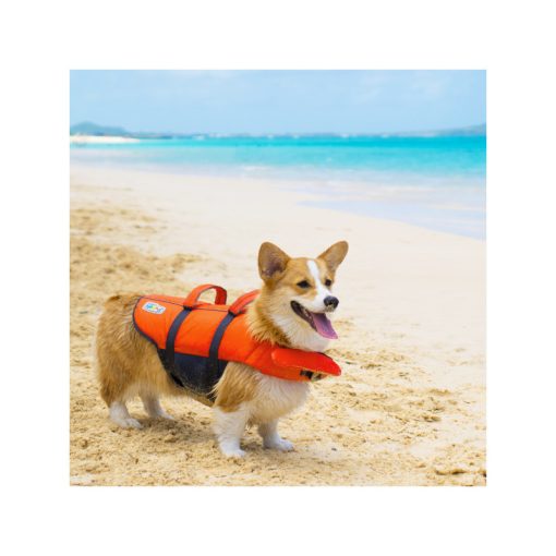 Outward Hound® Granby Splash mentőmellény | M méret