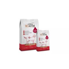   Platinum Vetactive Hypoallergenic kutyatáp ibériai sertéshúsból 5 kg