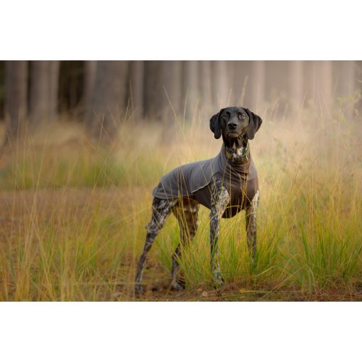 JumppaPomppa pulóver | graphite 56