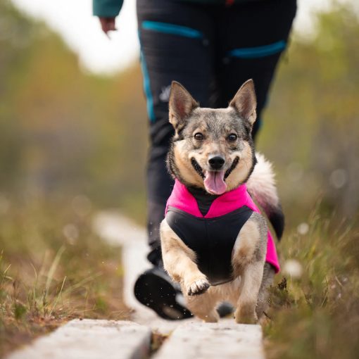 JumppaPomppa pulóver | pink 56