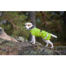 PerusPomppa kutyaruha | lime 28