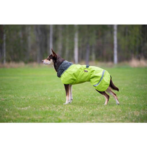 PerusPomppa kutyaruha | lime 28