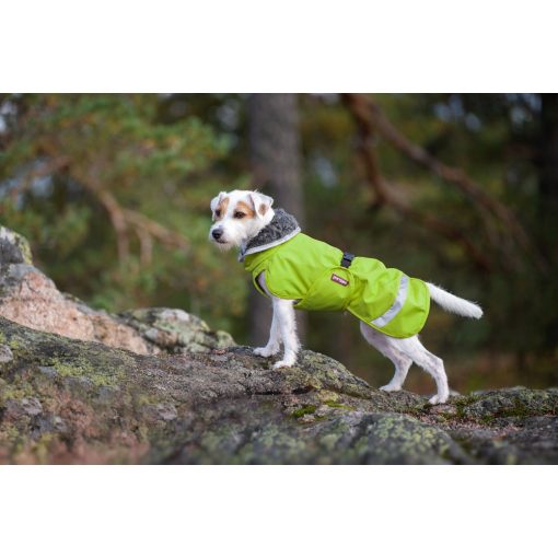 PerusPomppa kutyaruha | lime 34