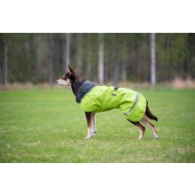 PerusPomppa kutyaruha | lime 34