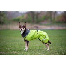 PerusPomppa kutyaruha | lime 40