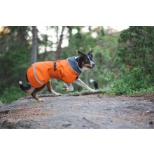 PerusPomppa kutyaruha | orange 34