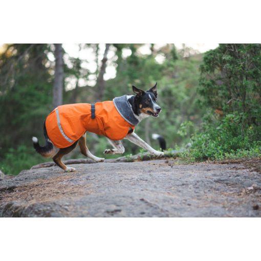 PerusPomppa kutyaruha | orange 34