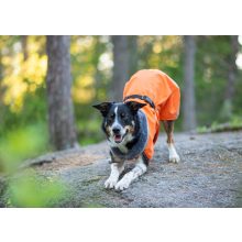 PerusPomppa kutyaruha | orange 34