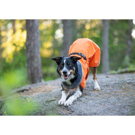 PerusPomppa kutyaruha | orange 34