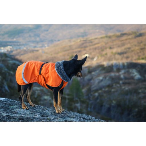 PerusPomppa kutyaruha | orange 34