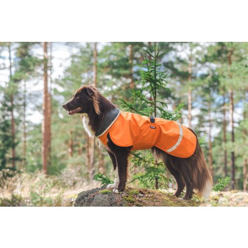 PerusPomppa kutyaruha | orange 34