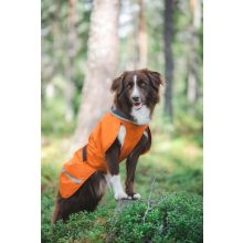 PerusPomppa kutyaruha | orange 34