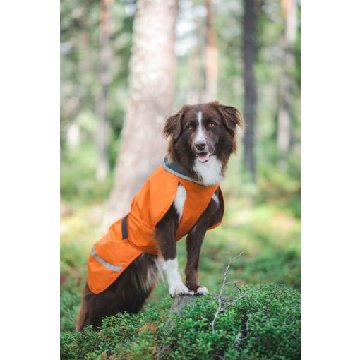 PerusPomppa kutyaruha | orange 34