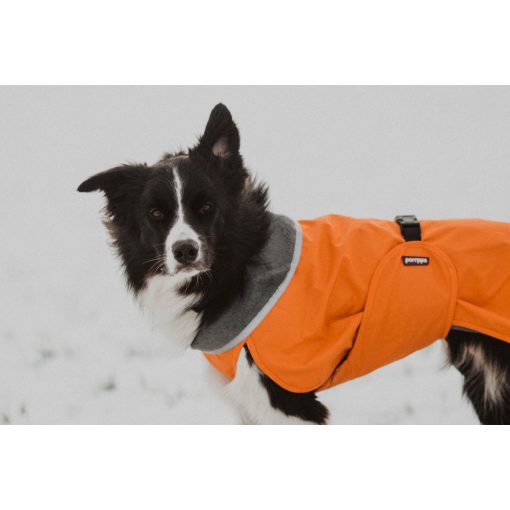 PerusPomppa kutyaruha | orange 34