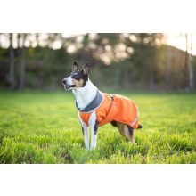 PerusPomppa kutyaruha | orange 34