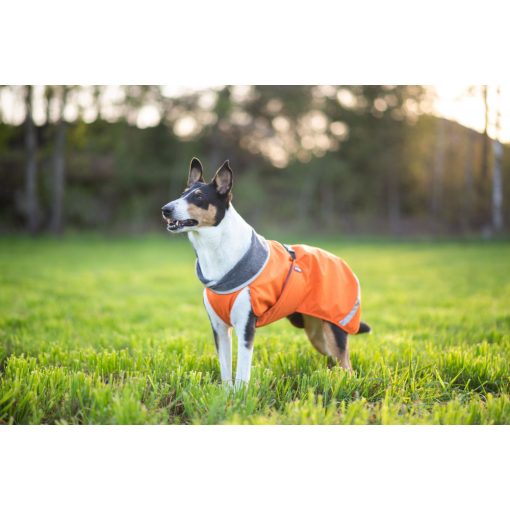 PerusPomppa kutyaruha | orange 34