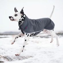 SporttiPomppa kutyaruha | graphite 31