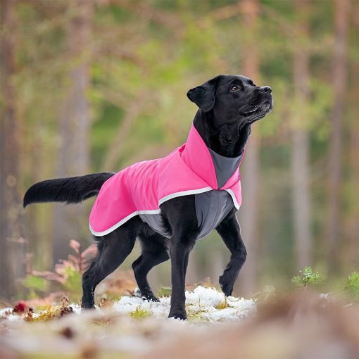 SporttiPomppa kutyaruha | pink 37