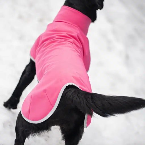 SporttiPomppa kutyaruha | pink 37