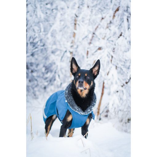 ToppaPomppa kutyaruha | petrol 44