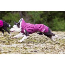 ToppaPomppa kutyaruha | plum 52