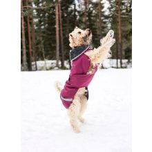 ToppaPomppa kutyaruha | plum 52