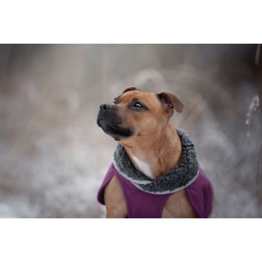 ToppaPomppa kutyaruha | plum 52