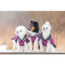 ToppaPomppa kutyaruha | plum 52