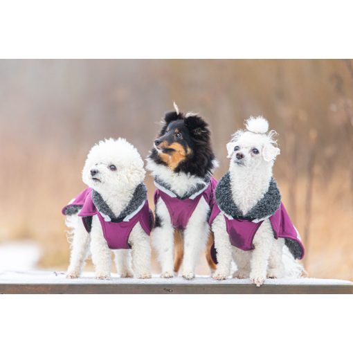 ToppaPomppa kutyaruha | plum 52