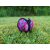 Puppingtons Pod lótusz labda sport-pink