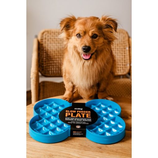 SloDog® habzsolásgátló tál kék