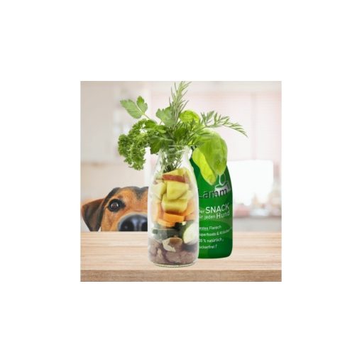 SmoothieDog® | bárányhús smoothie menü kutyáknak 250 ml