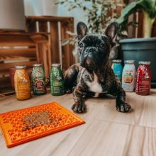 SmoothieDog® Immunio | marhás smoothie kutyáknak 250 ml